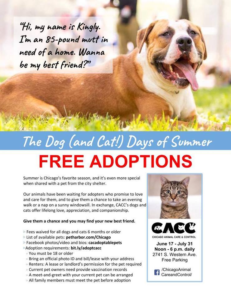 Dog (and Cat) Days of Summer” Free Adoption Event through 7-31-18 — RNRA  Chicago
