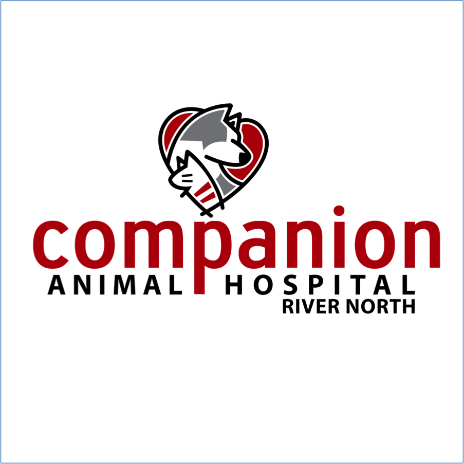 Companion Animal Hospital